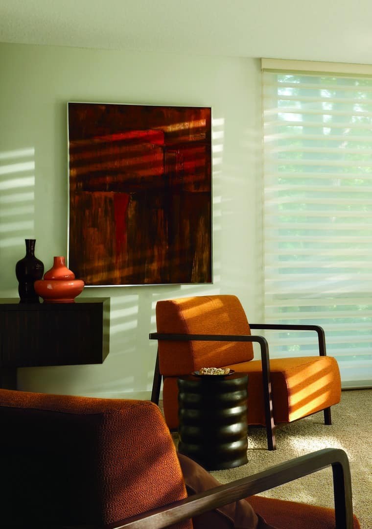 Silhouette® Window Shadings near Roseville, California (CA) Hunter Douglas Sheers Window Shades Window Treatments.